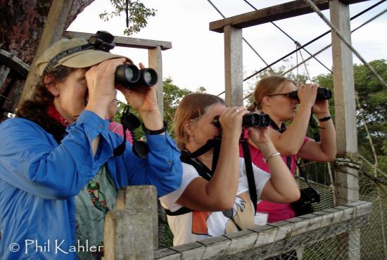 Heliconia y Puentes Colgantes 5 días 4 noches