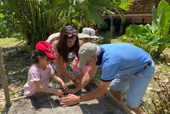 Turtle release